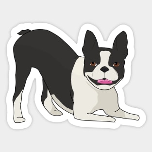 Boston terrier Sticker